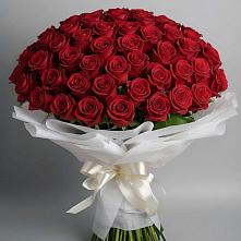 Букет 101 Красная роза Блэк Мэджик в Верховье