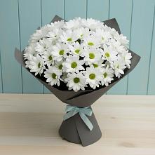 Букет цветов из:  Хризантемы #REPLACE_PRED# Верховье