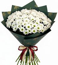 Букет цветов из:  Хризантемы #REPLACE_PRED# Верховье