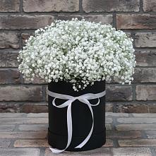 Цветочная композиция из Гипсофила в шляпной коробке в Верховье